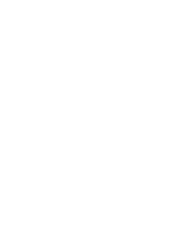 PPP Capital