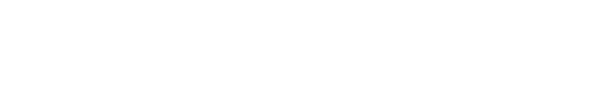 PPP Capital